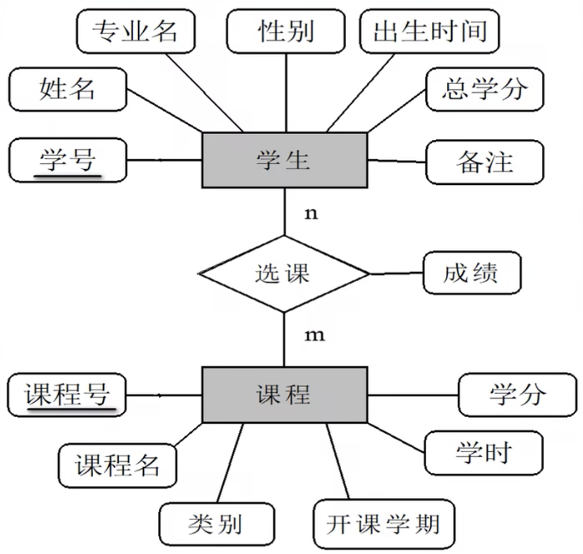 image-20231205204433994